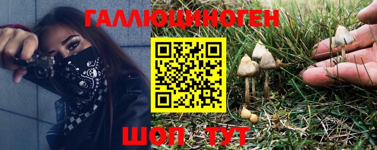 Псилоцибиновые грибы ЛСД  Галлюциногенные грибы Psilocybine cubensis  Сокол  Вход с VPN 